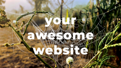 an example website